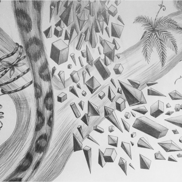 600x600 Himalaya Drawing Emma J Shipley - Himalaya Drawing