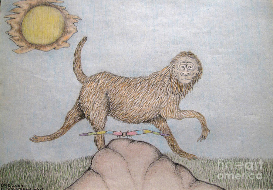 900x625 himalaya monkey dragonfly encounter drawing - Himalaya Drawing