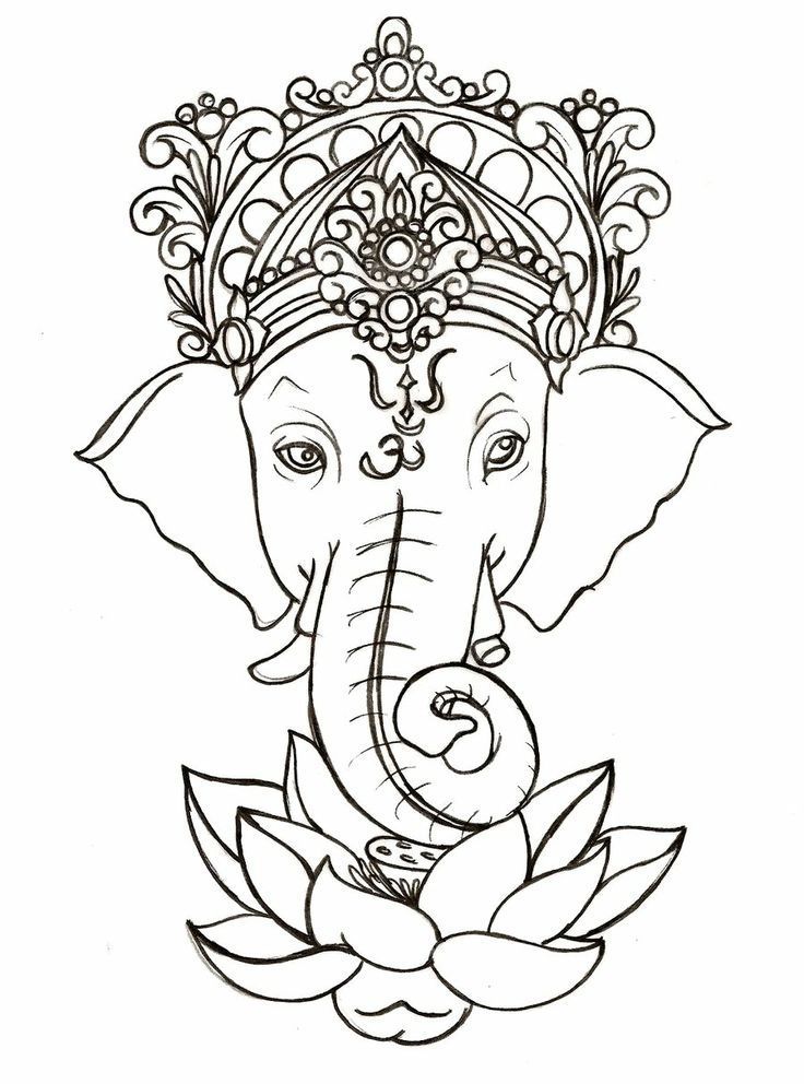 736x992 Indian Elephant Draw - Hindu Elephant Drawing