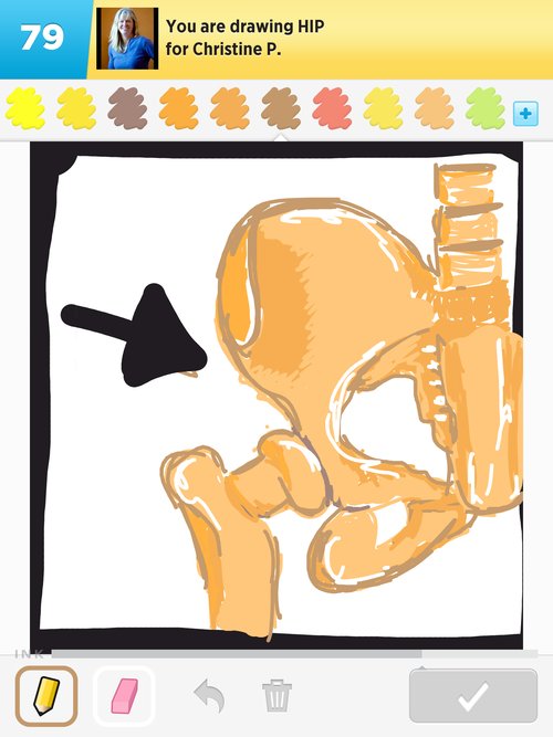 500x667 Hip Drawings - Hip Drawing