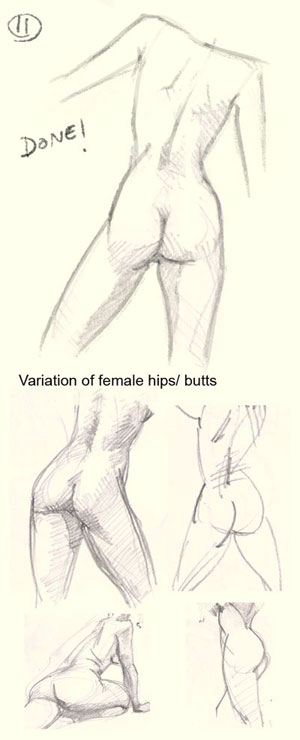 300x740 How To Draw Woman Hip - Hip Drawing