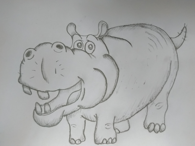 800x600 Cartoon Hippo Drawing - Hippo Drawing