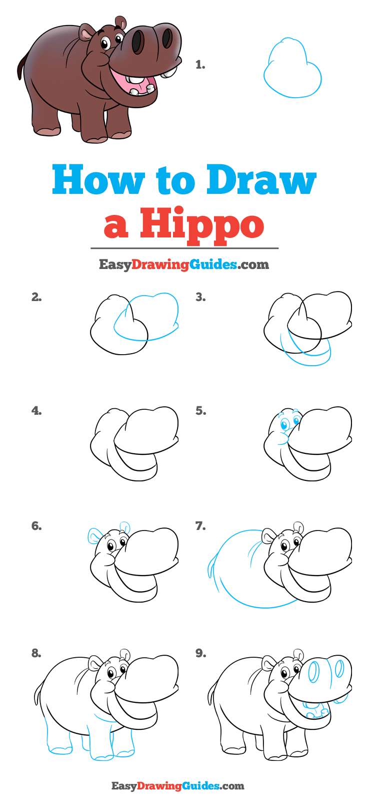736x1611 How To Draw A Hippo - Hippo Drawing