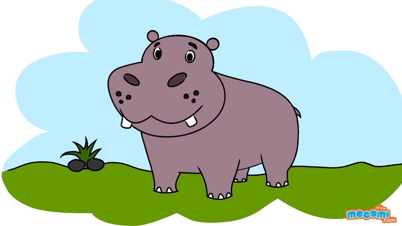 1280x720 How To Draw A Hippo - Hippo Drawing