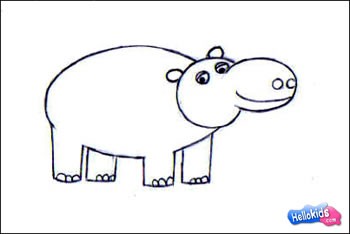 350x234 How To Draw Hippopotamus - Hippo Drawing