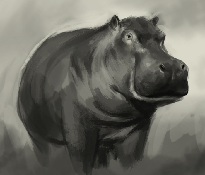 700x599 How To Draw Hippopotamus - Hippo Drawing