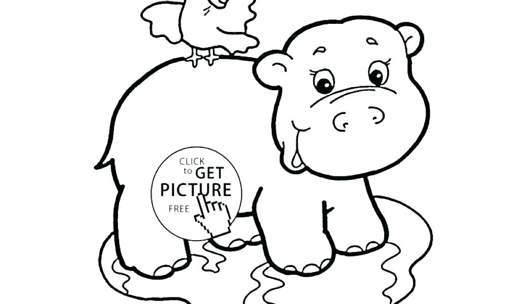 1024x600 Hippo Drawing Coloring - Hippo Drawing For Kids
