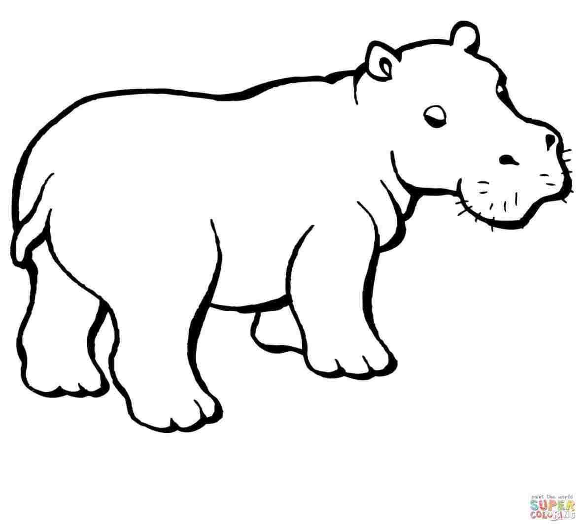 Hippo Campus Coloring Page Coloring Pages