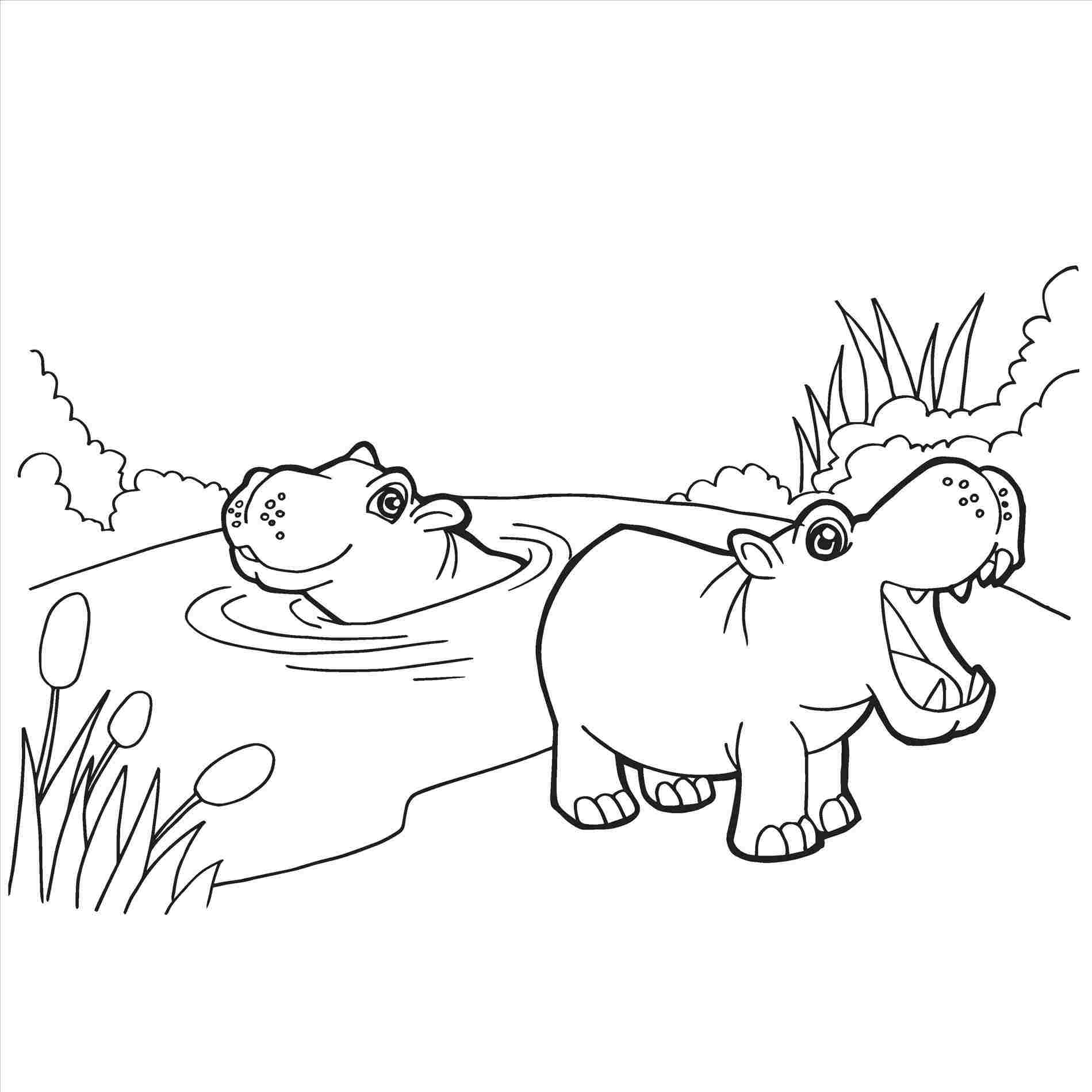 Hippo Drawing For Kids Free Download On Clipartmag - vrogue.co