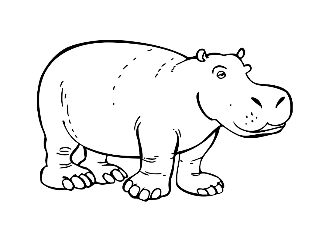 1050x750 Hippo Colour Fun Pics Images - Hippo Drawing For Kids