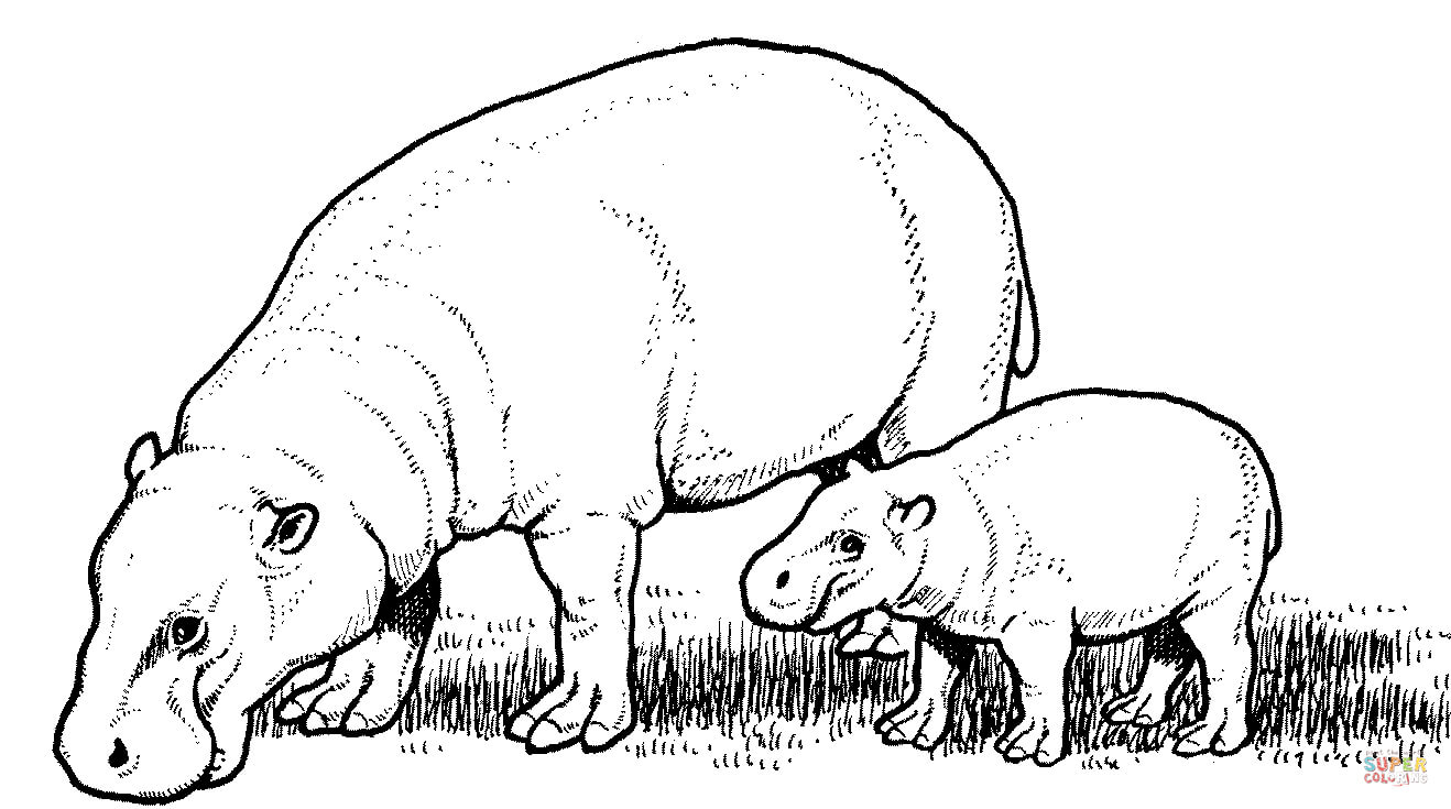 1318x735 Cute Hippo Coloring Pages - Hippo Drawing For Kids