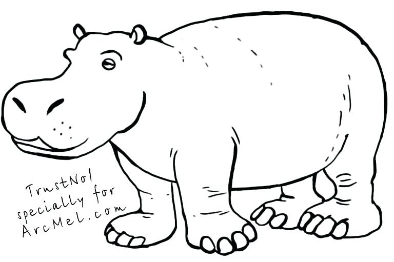 768x511 how to draw a hippo hippopotamus drawing how to draw a realistic - Hippo Drawing Step By Step