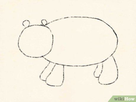460x345 How To Draw A Cartoon Hippo Steps - Hippo Drawing Step By Step