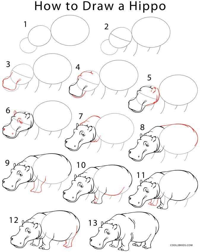 674x850 How To Draw A Hippo Step - Hippo Drawing Step By Step