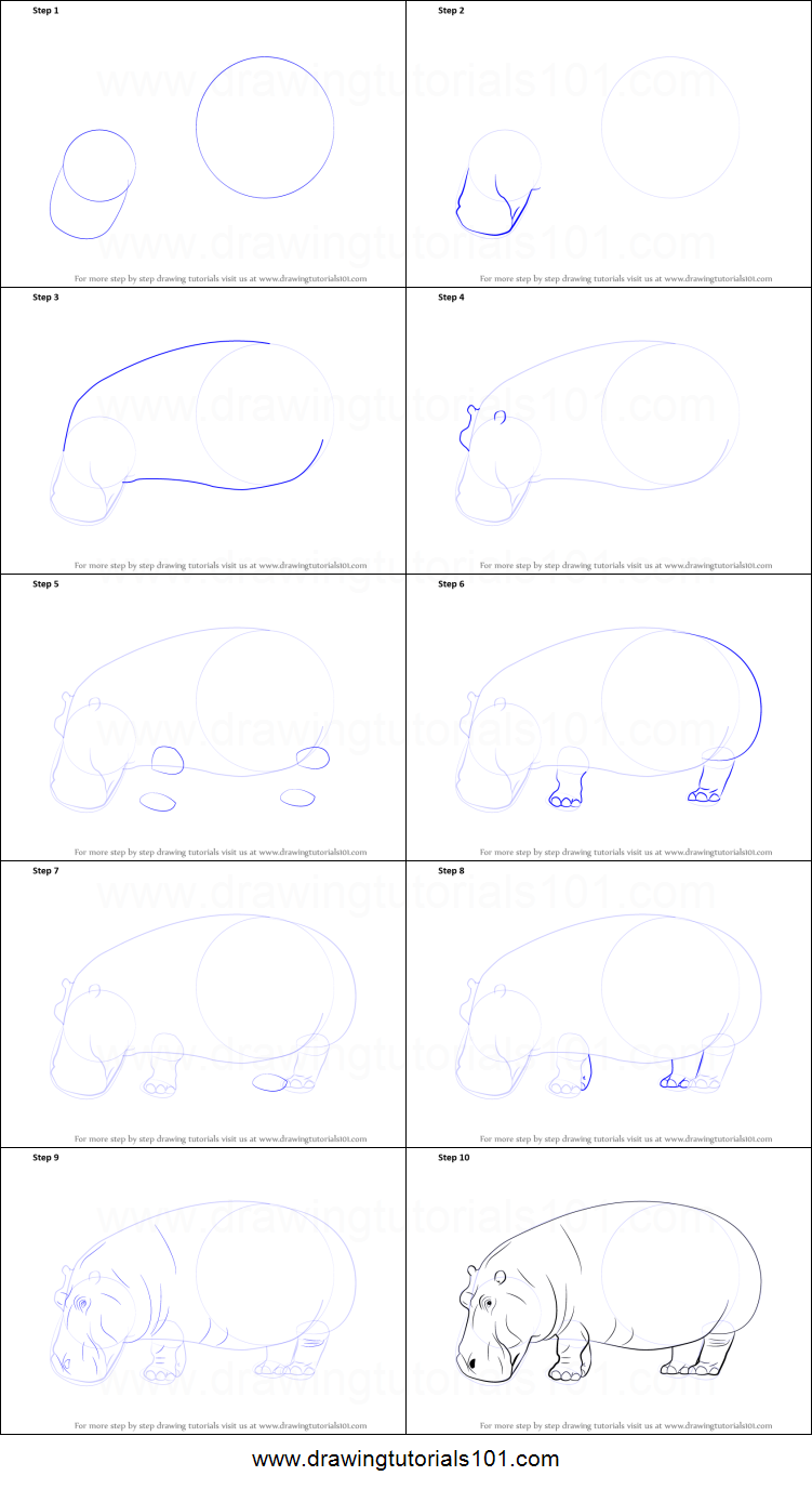 751x1376 how to draw a hippopotamus printable step - Hippo Drawing Step By Step