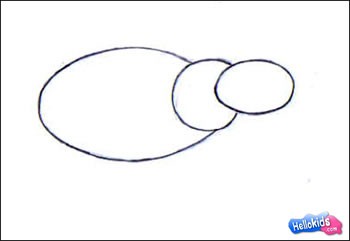 350x241 how to draw hippopotamus - Hippo Drawing Step By Step