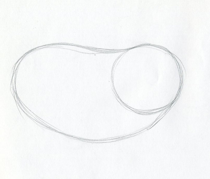 700x596 Let's Draw Cartoon Hippo - Hippo Drawing Step By Step