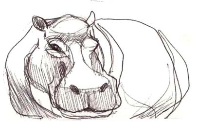 407x251 Drawn Face Hippo - Hippo Face Drawing