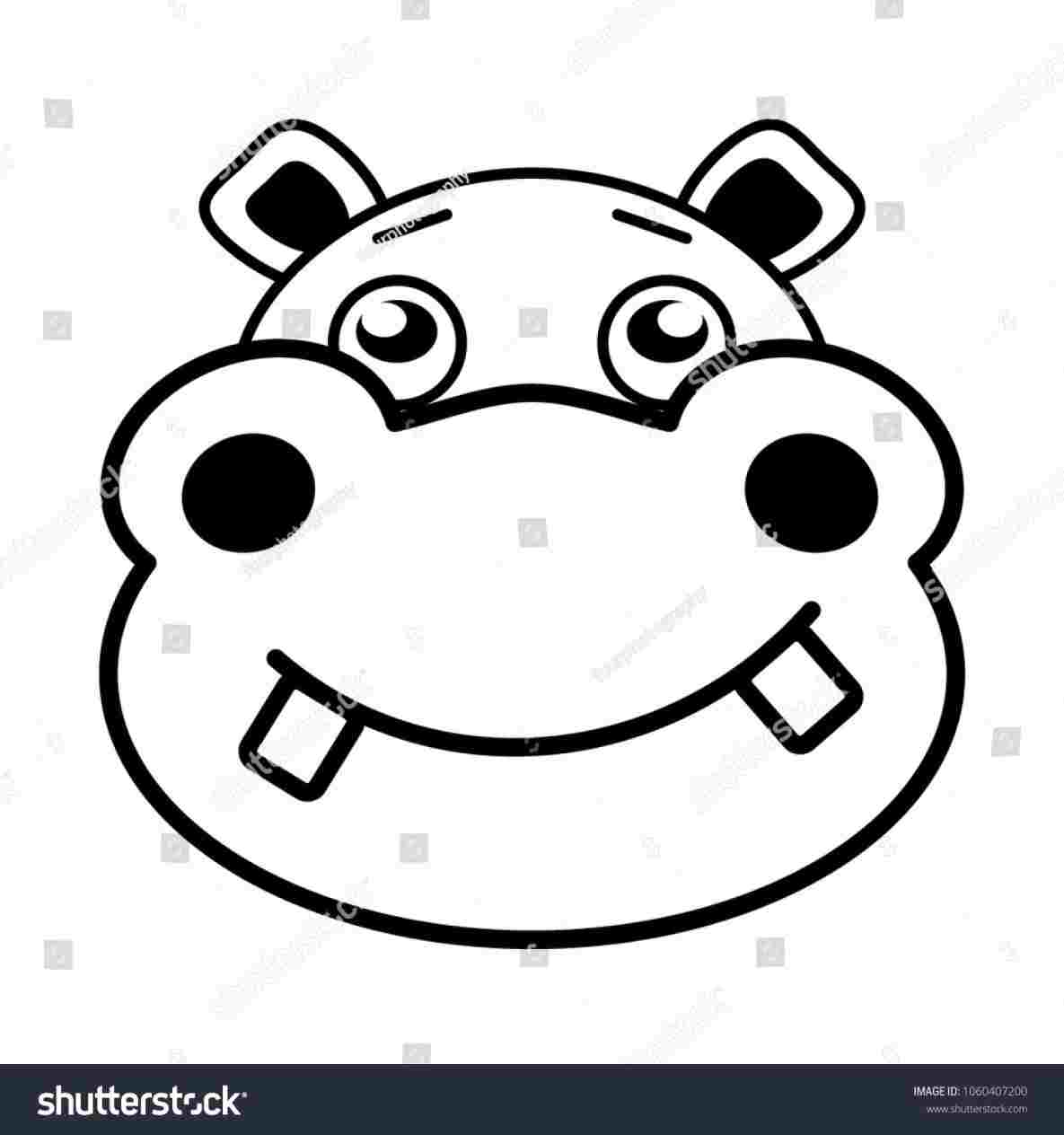 Hippo Face Drawing at PaintingValley.com | Explore collection of Hippo ...