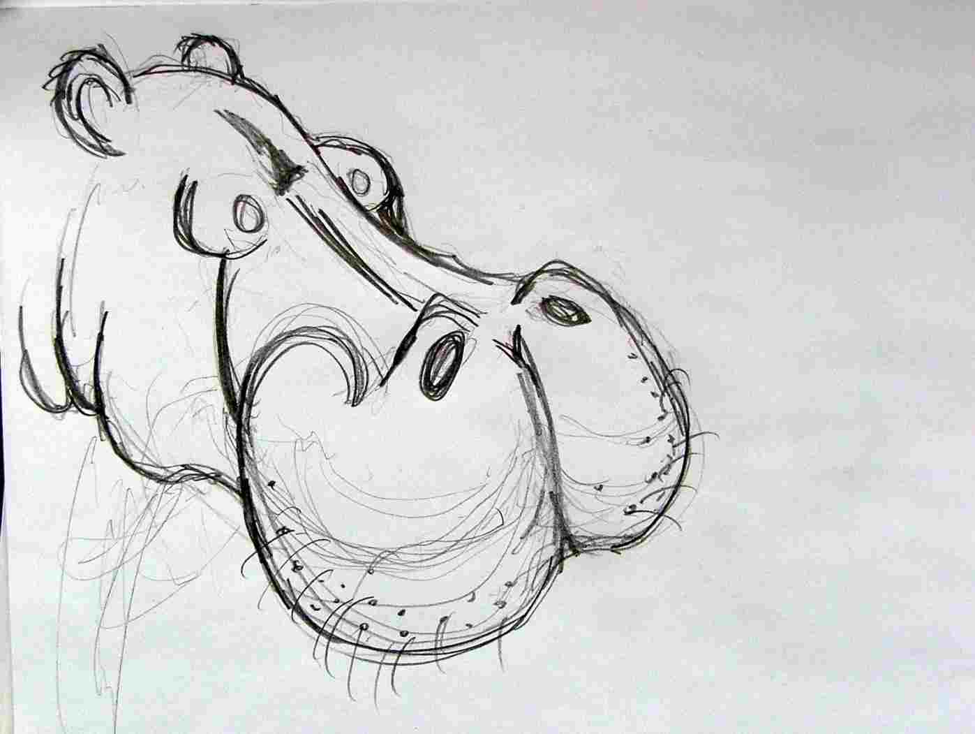 1397x1051 Hippo Face Drawing - Hippo Face Drawing