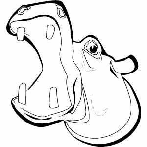 300x300 Hippo Face Drawing Gtgt - Hippo Face Drawing