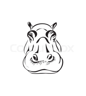 285x320 Vector Of A Hippo Face Design On White Stock Vector Colourbox - Hippo Face Drawing