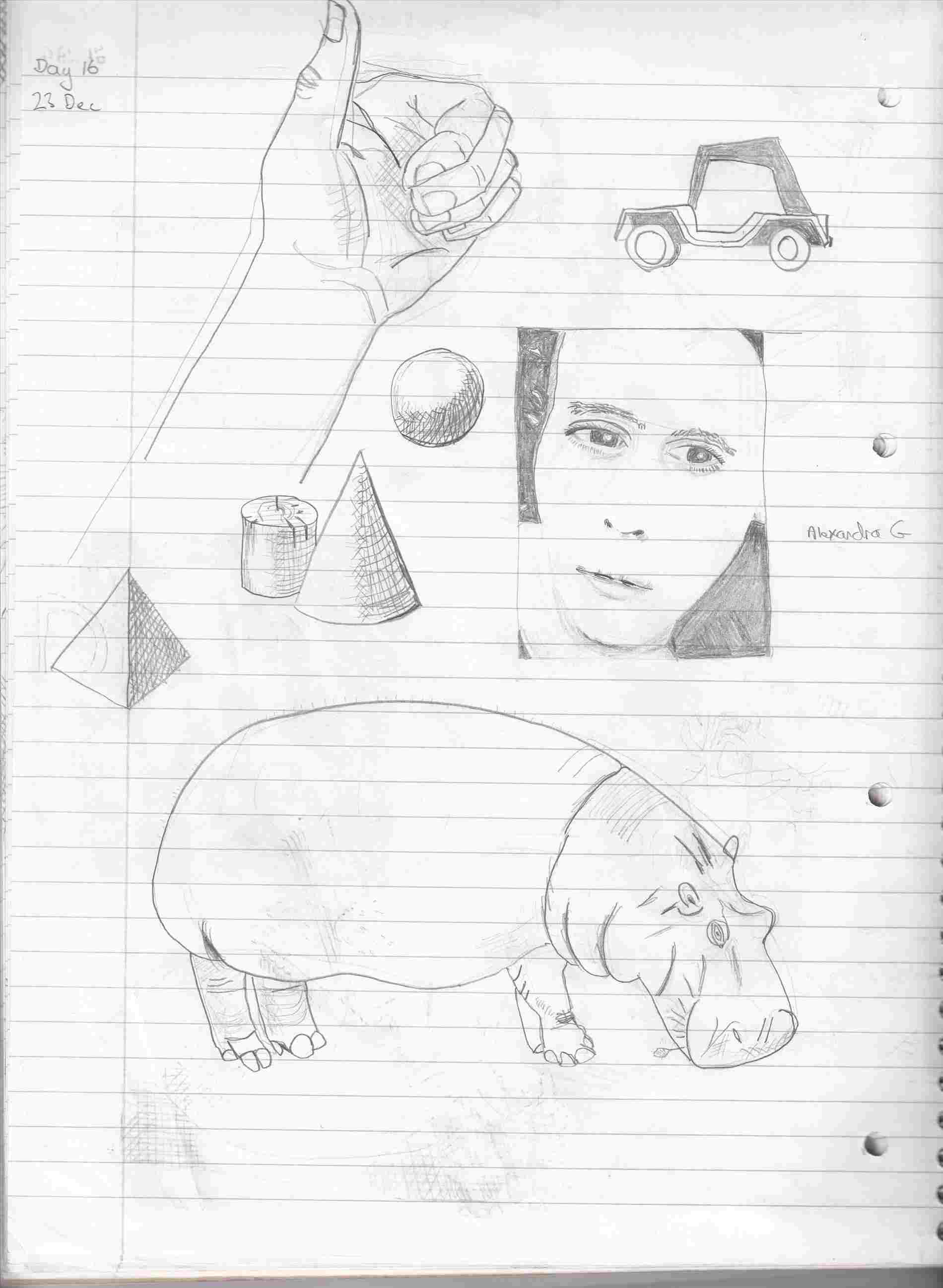 1900x2596 Pictures Wikihowrhwikihowcom How Hippo Face Drawing To Draw - Hippo Face Drawing