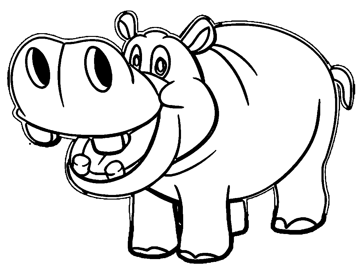Hippo Face Drawing at Explore collection of Hippo