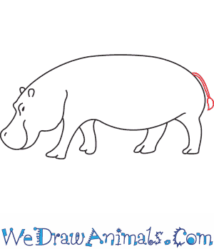 300x350 How To Draw A Hippopotamus - Hippo Line Drawing