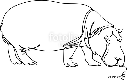 500x315 Hippo Doodle Continuous Sketch One Line Stock Image - Hippo Line Drawing