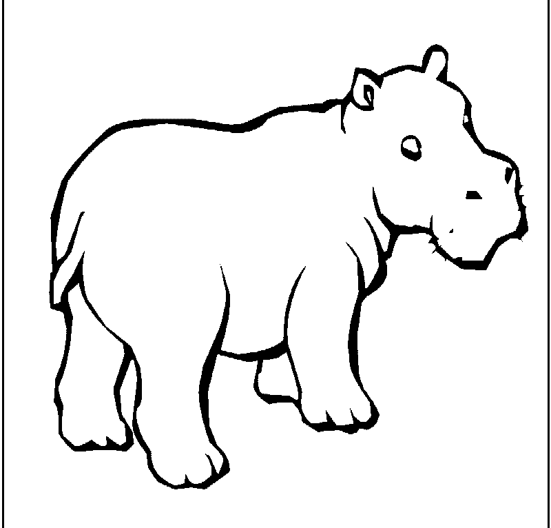 800x766 Drawn Hippo Line Drawing - Hippo Line Drawing