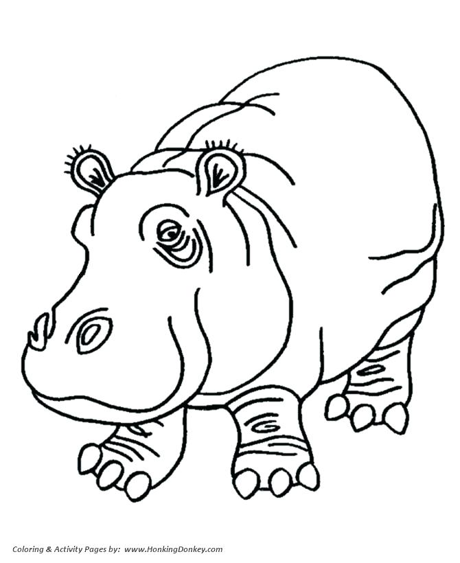 670x820 Donkey Face Coloring - Hippo Outline Drawing
