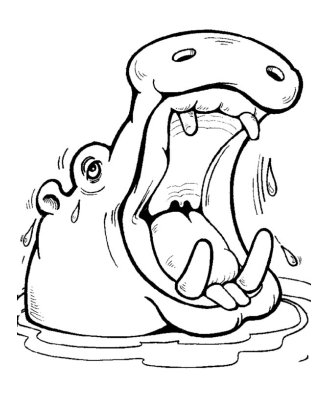 670x820 Drawn Hippo Mouth Open Drawing - Hippo Outline Drawing