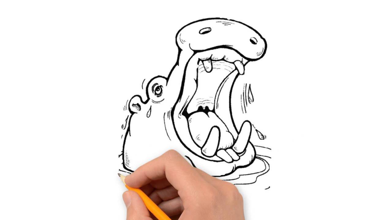 1280x720 Hippo Animals Pencil To Draw Step - Hippo Outline Drawing