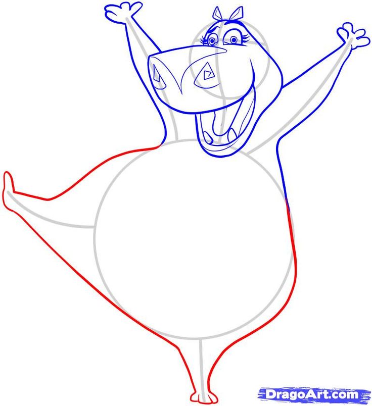 736x804 Hippopotamus Coloring - Hippo Outline Drawing