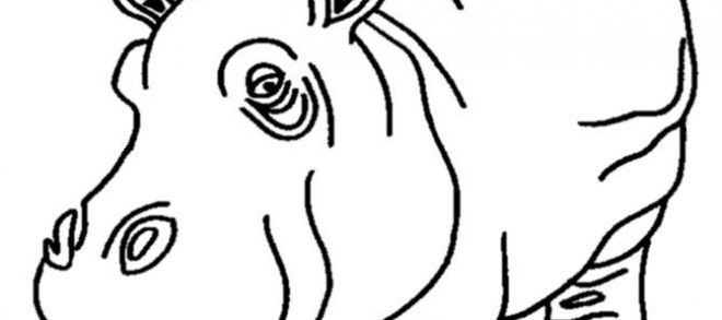 660x293 animal coloring pages hippo or hippo outline drawing - Hippo Outline Drawing