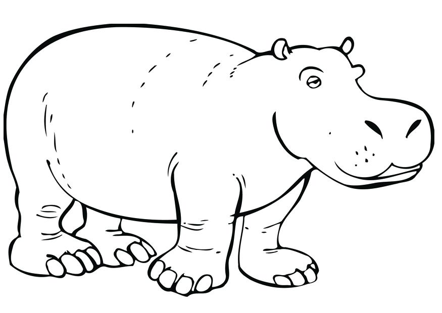 875x620 Coloring Pages Disney Stitch For Adults Flowers Halloween Hippo - Hippo Outline Drawing