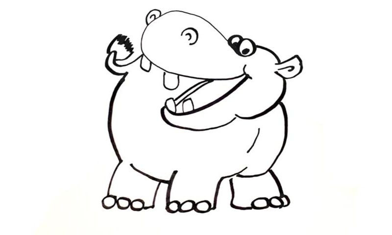 800x480 How To Draw A Hippopotamus - Hippopotamus Drawing
