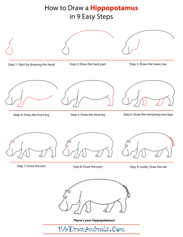 600x776 How To Draw A Hippopotamus - Hippopotamus Drawing