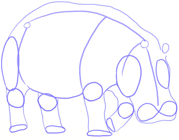 350x274 how to draw a hippopotamus - Hippopotamus Drawing Step By Step