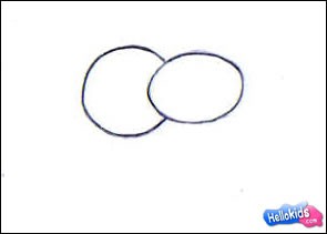 295x211 how to draw hippopotamus - Hippopotamus Drawing Step By Step