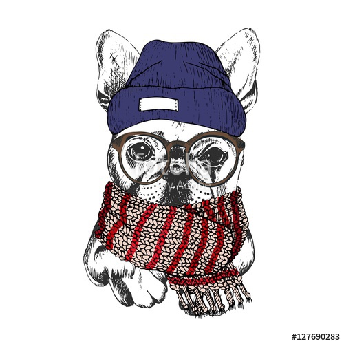 500x500 Vector Hand Drawn Portrait Of Cozy Winter Dog French Bulldog - Hipster Glasses Drawing