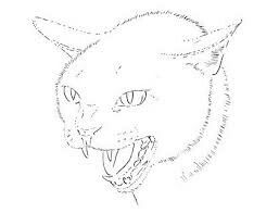 257x196 Cat Hiss Drawing Caniname Cat Drawing, Drawings, Cats - Hissing Cat Drawing