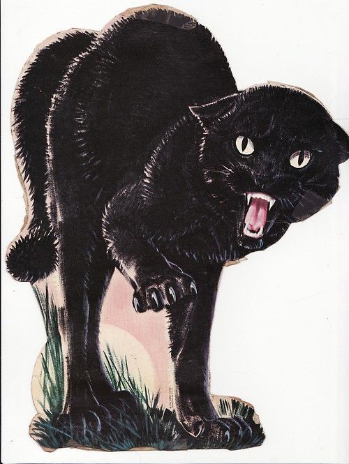 500x665 hiss! black cat haunted horrific black cat tattoos, black - Hissing Cat Drawing