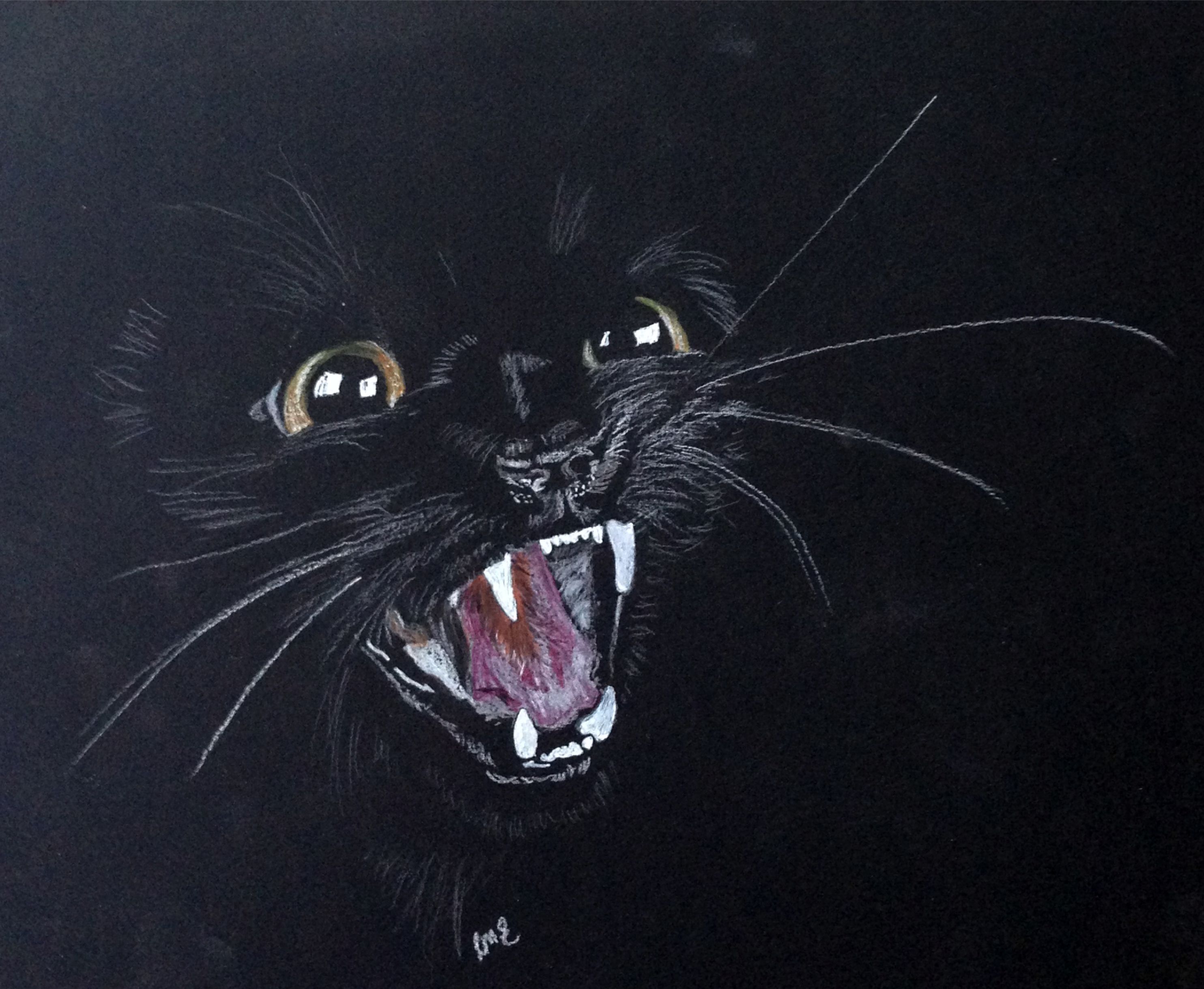 Hissing Cat Drawing at Explore collection of