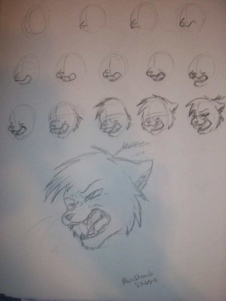 774x1032 How Draw A Cat Hissing - Hissing Cat Drawing