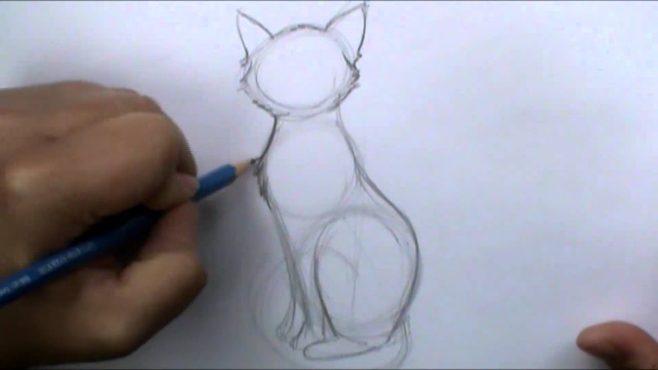 1280x720 How To Draw A Basic Cat Sitting - Hissing Cat Drawing