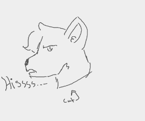 300x250 Hissing Cat Drawing - Hissing Cat Drawing