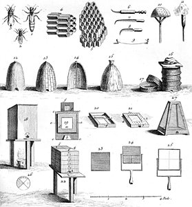 279x300 bee hive drawings fine art america - Hive Drawing
