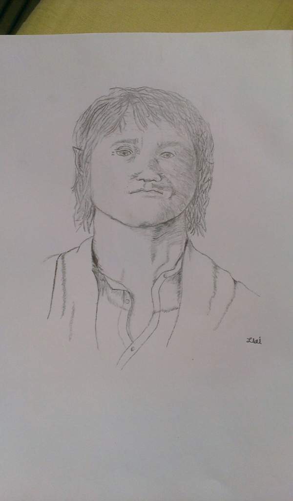 600x1024 A Hobbit Drawing Lotr Amino - Hobbit Drawing